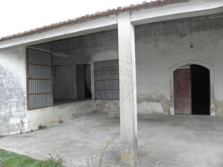 -2120941071484_db03d7ce-2fd7-4b78-987d-4d3257748ceb.jpg