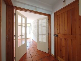 -2120941071498_955163d9-ff01-4310-9a1e-4e551a49e15a.jpg