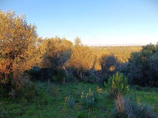 -2120941079184_67caafd8-c2f0-4b9a-b18c-d1288ea103a5.jpg