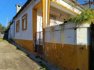 -2120941079188_ceed215a-0944-4e89-88e0-6ec322c86506.jpg