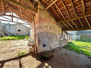 -2120941128001_636ce480-f501-4727-85d1-c856edac1d92.jpg