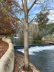 -2120941138007_cfddde22-3933-4fdb-84a0-3c452c5d1c56.jpg
