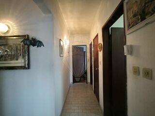 -2120991397700_1f0c23d2-8232-4670-8c68-d006a2ae234e.jpg