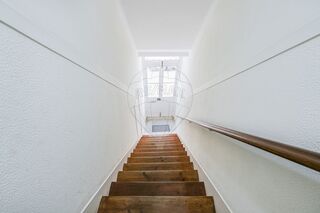 -2120992443048_73d3a079-96dc-4ef5-bed7-e696ff4c78d6.jpg