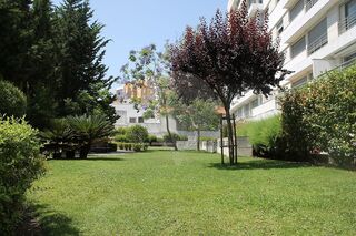 -2120992626045_d9e5b92b-768d-4d41-9950-db71cef9da17.jpg