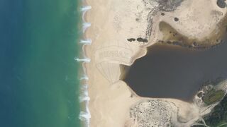 -2121011008012_f5375738-640d-46f7-8720-c07c3f3b8e78.jpg