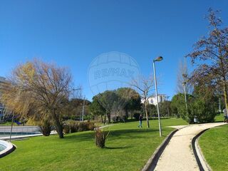 -2121011438101_aeffb0d9-5f6e-484b-a58f-753ae453e7a6.jpg