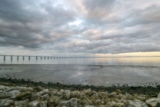 -2121021215213_2d8df639-6f34-43e8-b329-7273382fb90a.jpg