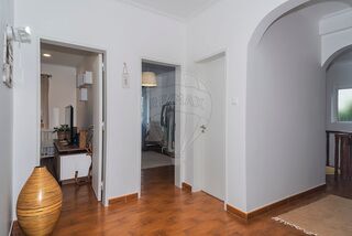 -2121161119058_7d34b1cc-ff7e-40cd-9250-bcda0a7628b9.jpg