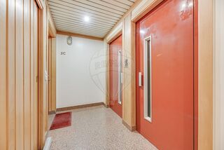 -2121161189047_dda1b690-2d1d-4e58-bf94-71080a300b59.jpg