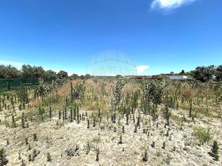 -2121491848042_c666958c-c1a3-41d9-85c4-ca44c8cfd384.jpg