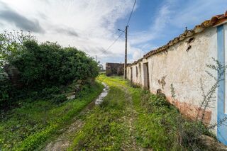 -2121601193015_bdd6533d-15e6-4b21-9ae8-a76fa9d1fcfc.jpg