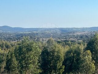 -2121681156087_c20f9183-315a-4fa1-a5e7-47d5b457786f.jpg