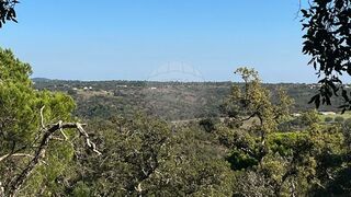 -2121681156088_118769c3-51c0-43c8-bc06-cb414067bc3c.jpg