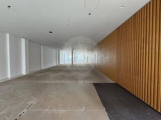 -2121701378084_4588a630-35b1-4c53-8d49-ab8d62ec70ad.jpg