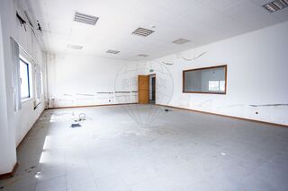 -2121741024614_a718d948-c402-4741-abd6-03f0519c5a79.jpg