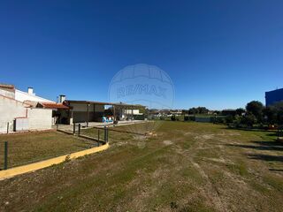 -2121741103183_a51ccd19-8ab6-439f-9597-621026be35a0.jpg