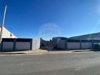 -2121741103183_a8161e2a-b94b-4e72-964e-8e65aabbfee1.jpg