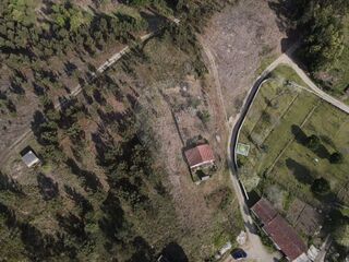 -2121751324016_7063a5ad-ab30-44f6-8023-79c30a08035e.jpg
