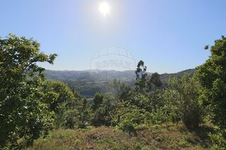 -2121751324041_e2cda1a6-6aee-4468-9d4b-c8805beacdad.jpg