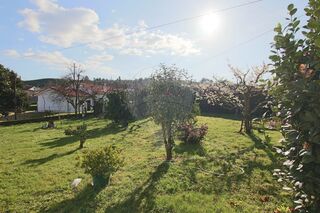 -2121751324112_1ea2bafa-98e0-49aa-841e-7b12ac6224e9.jpg
