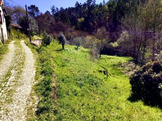 -2121751324181_a69c589c-af36-413e-9272-d0c324201ad6.jpg