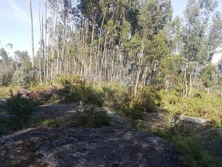 -2121751324198_0d002054-5eca-4d31-a128-e3c93fbfd103.jpg