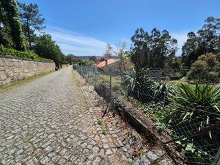 -2121751334007_9865c983-4cec-4207-9b07-b331d2319c6a.jpg