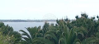 -2121831120430_86b382d8-5cd1-4a45-b779-b312fb358e35.jpg