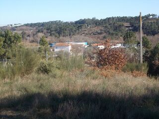 -2122031076212_a1f0be5a-91b8-4cab-91ab-b046ac2e6d10.jpg