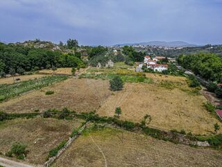 -2122031113070_ce7522df-5f38-4a2b-92f6-faaea3229d89.jpg