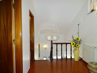 -2122031116182_b6a5a226-9b34-4f19-87d0-7aa3ae1bcbe2.jpg