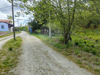-2122031118061_4b325599-19ed-482f-8347-b425ec4f7cc9.jpg