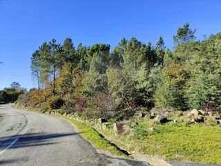 -2122031118068_60f08f6e-0c91-47c8-90f4-1e429554cc45.jpg