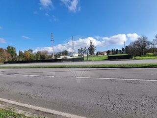 -2122031134175_1d2fdaac-a4f8-4e98-8d9c-441182d4c30d.jpg