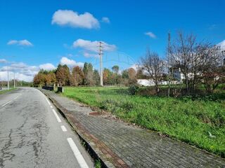 -2122031134175_e95824c8-6bea-40c3-a242-16131e360af3.jpg