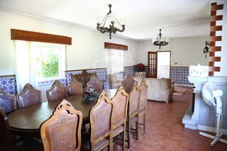 -2122031151047_45519da9-d5ad-4a2f-8da3-1793ed0861f0.jpg
