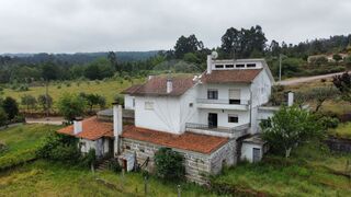 -2122031151047_5ce23713-2cb5-46bd-a422-777badff1825.jpg