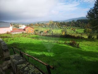 -2122031161054_f57ebeb8-6539-46e3-bb7e-5bf93f8d673a.jpg