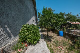 -2122031177056_9ecbbc06-6a4d-43ff-a8eb-2a1dc0bc29fb.jpg