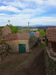 -2122031187001_165c2c66-8e3b-4107-b56c-fb2d686f0ba6.jpg