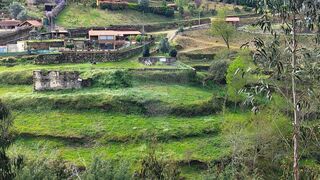 -2122041021953_7faa8b47-d943-4cb8-94f7-d5ba6e602be5.jpg