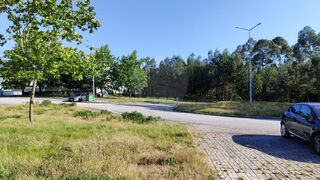 -2122041022065_b8dc3ebe-ed72-41e0-b0eb-a712afcfbaf0.jpg
