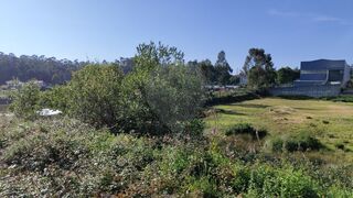 -2122041022070_f0a50813-63b9-4b5a-b568-a8f7b9d252b8.jpg