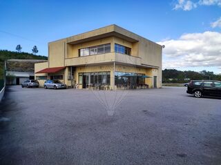 -2122041022181_8044afc9-ce5b-4526-9211-4847acd1a1e8.jpg