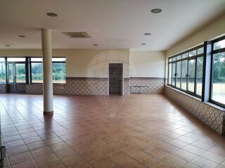 -2122041022182_b319e413-b7fc-46a0-ac68-be717686cb24.jpg