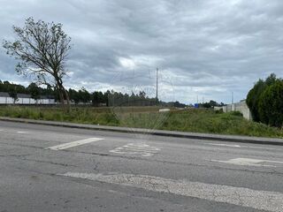 -2122041071380_5d64a49a-2de6-40ac-867c-214fe8c66484.jpg