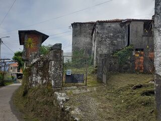 -2122041170015_a6bd2125-e8d0-47e3-b3f0-dfdc4a304eb0.jpg