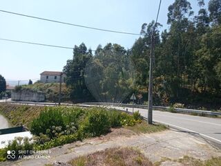 -2122041248005_2d91b313-e6d5-446a-ad9d-338f4148cfce.jpg