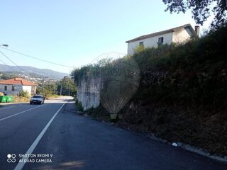 -2122041248005_fb324aae-8683-4ec1-bf75-2361955af50d.jpg